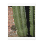 ARJIZONA CACTUS AND FLOWERS POSTCARDS