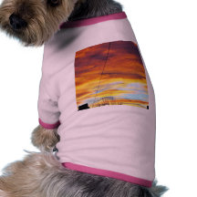 Ark Orange Sky At Sunset Doggie Tee Shirt