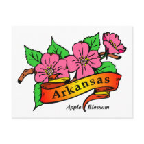 Arkansas Apple Blossom Postcards