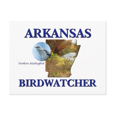 Arkansas Birdwatcher Post Card by nakedzealot