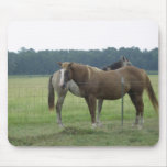 Arkansas Horses Mouse Pads