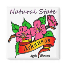 Arkansas Natural State Apple Blossom Magnets