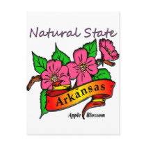 Arkansas Natural State Apple Blossom Postcards