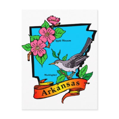 Arkansas Post Card by GeographyTees