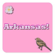 Arkansas State Stickers