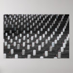 Arlington B&W Colour Flags posters