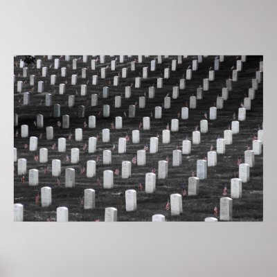 Arlington B&W Colour Flags Posters by captainifr