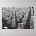 Arlington B&W Flags Colour Posters