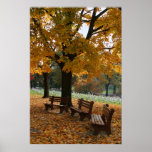 Arlington Benches Posters