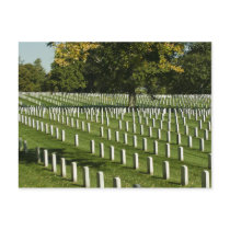 Arlington National Cemetery Postcard