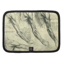 Arm and Shoulder Muscles Anatomy Leonardo da Vinci Organizers