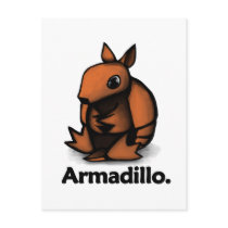 Armadillo Armadillo.