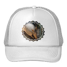 Armadillo Baseball Hat