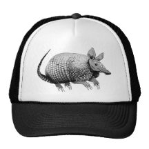 Armadillo from Texas - Glaze Mesh Hats