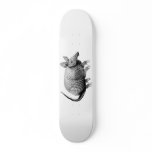 Armadillo from Texas - Glaze skateboards