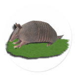 Armadillo grass sticker