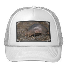 Armadillo Habitat  Baseball Hat