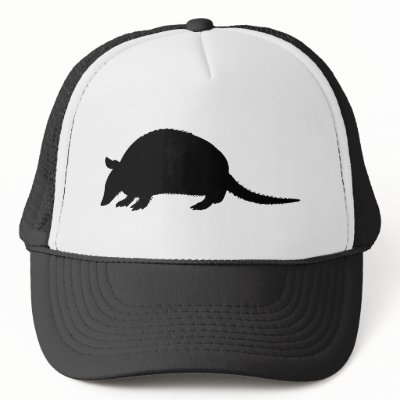 Armadillo Mesh Hat by silhouette_emporium