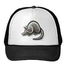 Armadillo Hat