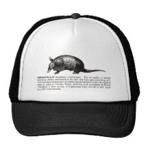 armadillo hat