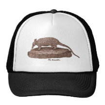 Armadillo Lithograph Mesh Hat