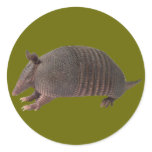 Armadillo plain stickers
