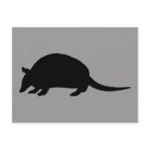 Armadillo Postcards