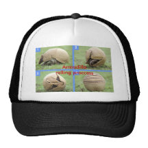 Armadillo Rolling Proccess Mesh Hats