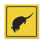 Armadillo Warning Magnet