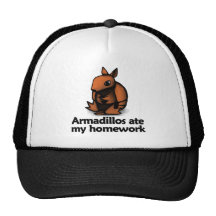 Armadillos ate my homework mesh hat