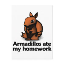 Armadillos ate my homework