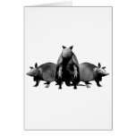 Armadillos Greeting Card