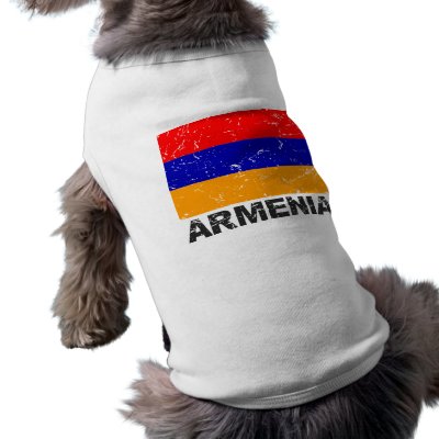 Armenia Vintage Flag Doggie T-shirt by allworldtees