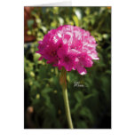 Armeria Maritima (Sea Pinks) Floral Mother's Day Cards
