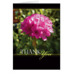 Armeria Maritima (Sea Pinks) Floral Thank You Card