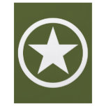 Army Star Full Color Flyer