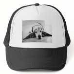 Arnie Trucker Hats