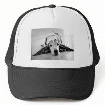 Arnie Trucker Hats