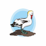 Arnold Albatross Photo Cutouts