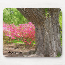 Arnold Arboretum Spring Colours Mousemat