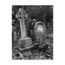 ArnosVale7 Postcard