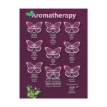 Aromatherapy Chart in Burgundy Post Cards