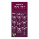 Aromatherapy Chart in Burgundy rack cards