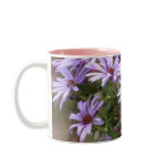 Aromatic Aster 1 mugs