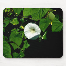 Aromatic White wild flowers under the shadow Mousepads