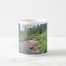 Aroostook National Wildlife Refuge Coffee Mugs