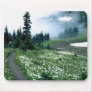 Around the world 13 mouse pads