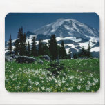 Around the world 14 mouse pad