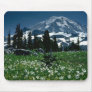 Around the world 14 mouse pad