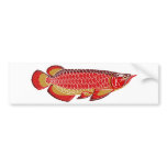 arowana bumper sticker